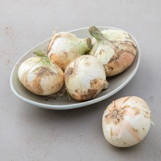 국내산 양파, 1.5kg, 1개