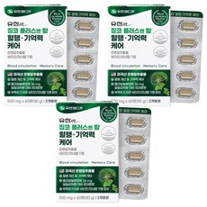 유한메디카 징코 플러스 엔 탑 혈행 기억력 케어 30g, 60정, 3개 60정, 3개