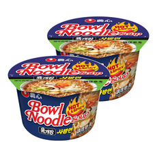 NONGSHIM 農心 碗麵 辣牛肉湯口味 100g, 2入