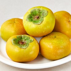 곰곰 국내산 GAP 단감, 1.5kg(7~9입, 중과), 1팩