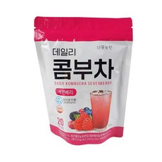 Danongwon 乳酸菌康普茶，口感清爽，健康碳酸，低糖低卡，適合上班隨身攜帶, 5g, 20包, 1袋