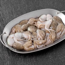 차려yo 생물주꾸미 항공직송, 700g, 1개