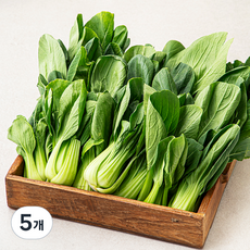 국내산 청경채, 2kg, 5박스