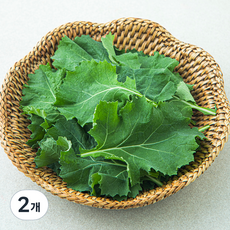 국내산 친환경 베이비케일, 50g, 2개