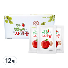 영주 햇살듬뿍 사과즙 30p