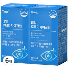 퍼니트 리얼 눈건강 루테인 지아잔틴, 30정, 6개 30캡슐, 15g, 6개