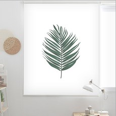 끌래망스블라인드