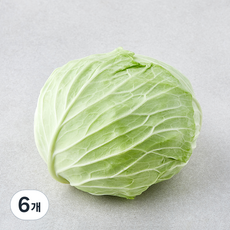 작아도 맛있는 양배추, 800g, 1개입, 6개