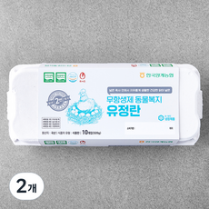 목계촌 동물복지 인증 유정란 520g, 2개, 10구 2개, 10구