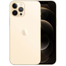 Apple 아이폰 12 Pro Max 자급제, 128GB, 골드