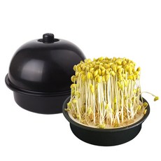 클래스 콩나물 재배기, 1개