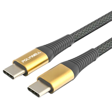 POLYWELL 寶利威爾 100W Type-C快充線, 2m, 金色, 1條