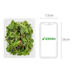 유기농 어린잎 채소믹스, 50g, 1개 - 이미지 6