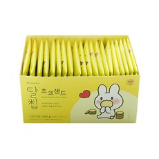 네이처오다 달칩 초코샌드 12g x 20p, 초코맛, 1개