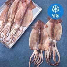 바다온 구룡포건조 원양산 반건조 오징어 5미 (냉동), 450g (5미), 1개