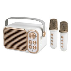 aibo 雙人對唱行動KTV 藍牙喇叭麥克風組, 藍牙5.0, 雙麥克風, TYPE-C 充電, LA-BT-LXS3, 經典白