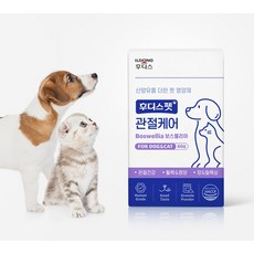 일동 후디스 후디스펫 반려동물 영양제, 혼합맛(닭고기/치즈/복어), 1개, 뼈/관절강화