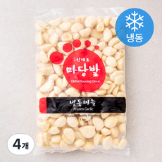 마당발 알마늘 (냉동), 1kg, 4개