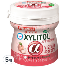 롯데자일리톨 알파 입안촉촉 피치 용기, 86g, 5개