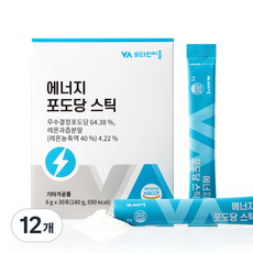 Vitamin Village 葡萄糖粉隨身包 檸檬口味 30條入, 12盒, 180g