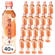 웅진 생차 호지차, 500ml, 40개