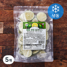 뉴뜨레 라임 슬라이스 (냉동), 500g, 5개