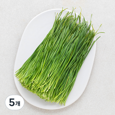 영양부추, 200g, 5개