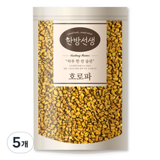 한방선생 호로파 씨앗 특품, 600g, 5개
