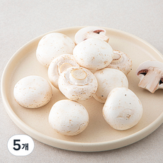 국내산 구이용 양송이버섯, 140g, 5개