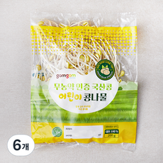 곰곰 무농약 인증 국산콩 어린이 콩나물, 200g, 6개