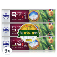 죽염 시린고 치약, 120g, 9개