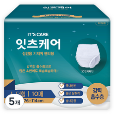 잇츠케어 남녀공용 성인용 기저귀 팬티형, 대형, 5개, 10개입