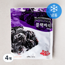 트로피칼마리아 블랙베리 (냉동), 500g, 4개