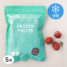 국산 꾸지뽕 (냉동), 300g, 5개