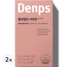 덴프스 활성엽산 서포트 12g, 2개