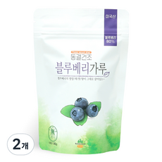 산마을 동결건조 블루베리가루, 90g, 2개