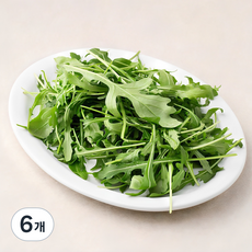 국내산 와일드 루꼴라, 100g, 6개 100g, 6개