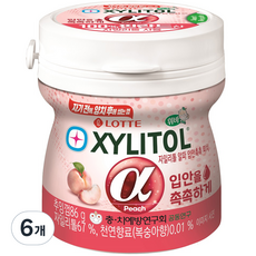 자일리톨 입안을 촉촉하게 알파 용기, 86g, 6개