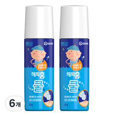 해피홈 외용소독 쿨액 50g, 6개