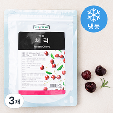 웰프레쉬 체리 (냉동), 500g, 3개