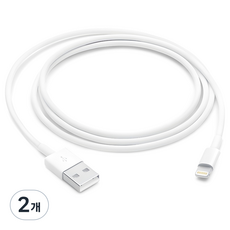 Apple 라이트닝 USB 케이블, 100cm, 2개