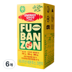 후반전 에너지샷 레몬 주스 크런치, 16.5g, 6개