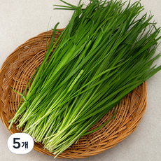 국내산 무농약 부추, 300g, 5개