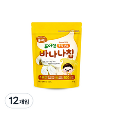 퓨어잇 동결건조 과일칩, 25g, 12개입