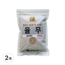 대한농산 율무, 800g, 2개