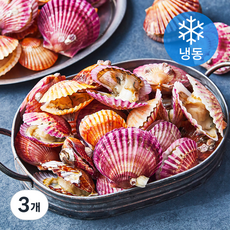 김씨밥 홍가리비 (냉동), 1.2kg, 3개
