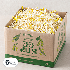 곰곰 콩나물, 2kg, 6박스