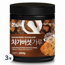 조은약초 차가버섯 가루, 200g, 3개