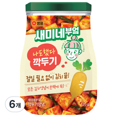 새미네부엌 깍두기 양념, 120g, 6개