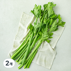 친환경 주스용 샐러리, 500g, 2개 2개, 500g